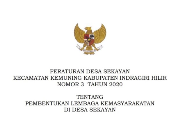 PERDES NOMOR 3 TAHUN 2020